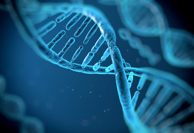 DNA-Proben gaben Aufschluss (Symbolbild)