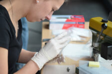 Annika Diekmann bei der Detektivarbeit. Rund 550 Proben hat sie analysiert