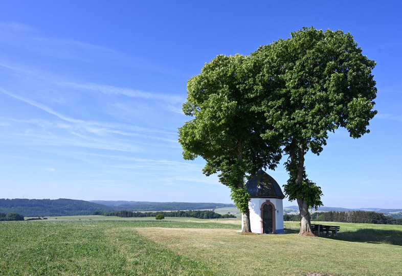 Kapelle unter Bäumen