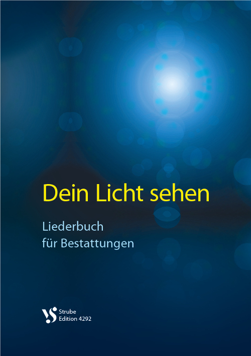 Cover Dein Licht sehen