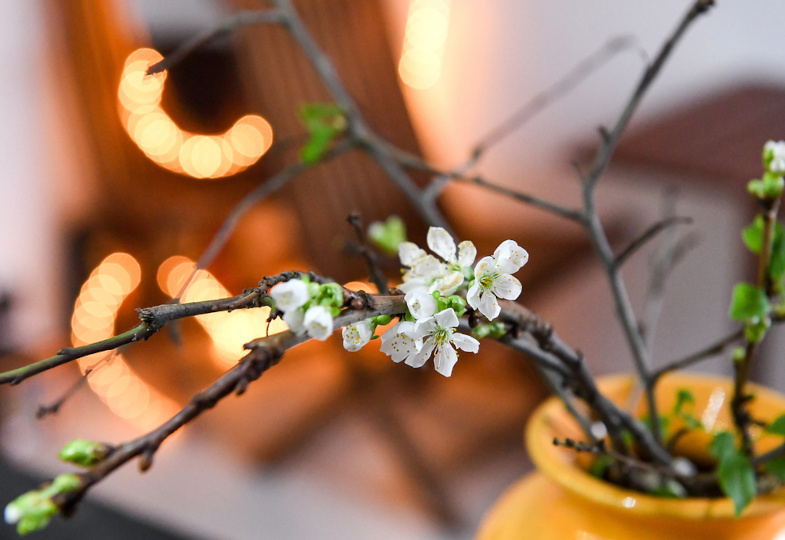 Segnung der Barbarazweige: Ein Modell für den 4. Dezember zur Erprobung für ein neues deutschsprachiges <em>Benediktionale</em>