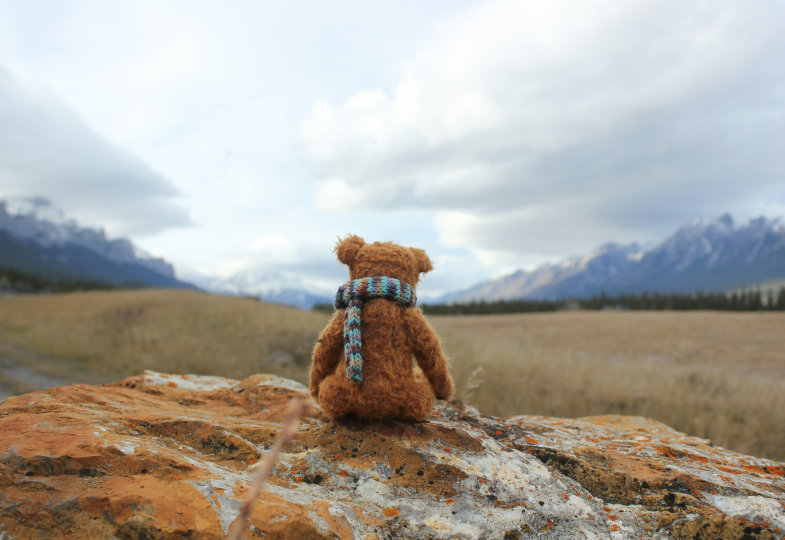 Teddybär von hinten