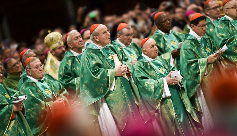 Eröffnungsgottesdienst zur Familiensynode im Petersdom