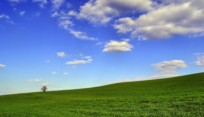 Landschaft im Sommer