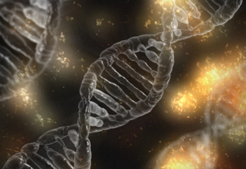 Blick auf vergrößerte DNA-Doppelhelix 