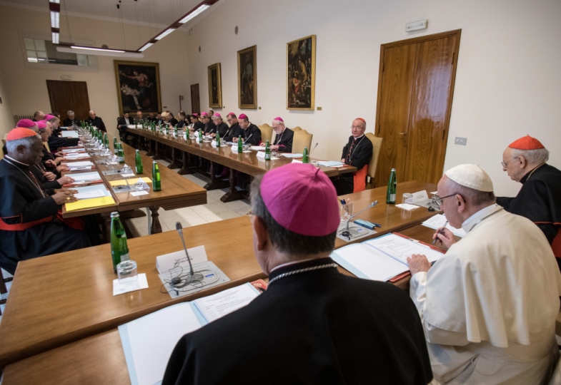 Bischöfe bereiten mit Papst Franziskus die Amazoniensynode vor.