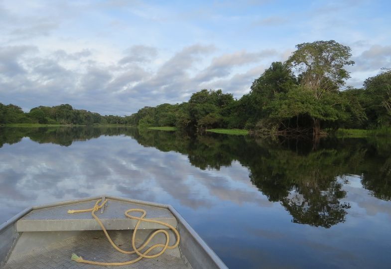 Amazonas