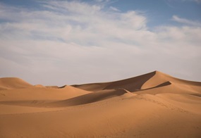 Wüste