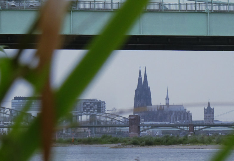 Kölner Dom unter der Rodenkirchener Hängebrücke