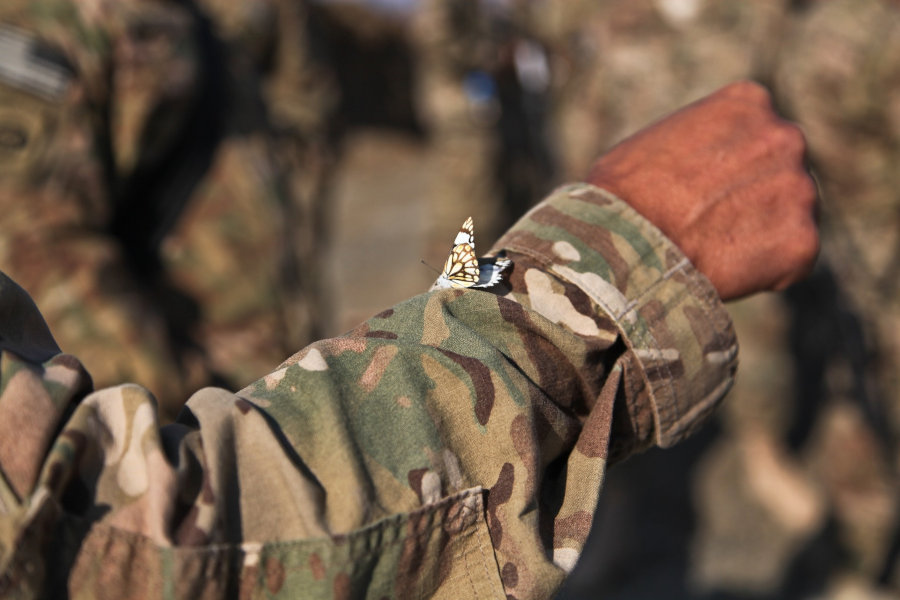 Schmetterling auf dem Ärmel eines Soldaten