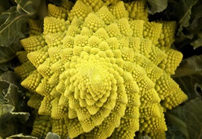 Romanesco-Blumenkohl