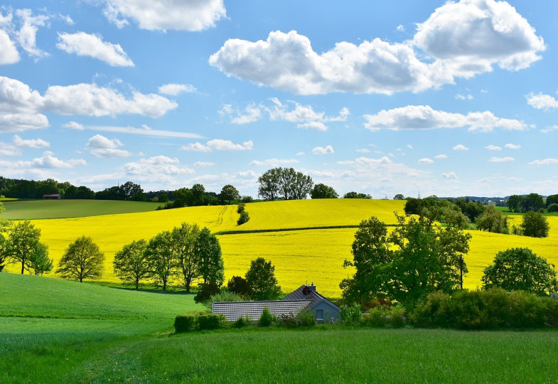 Landschaft