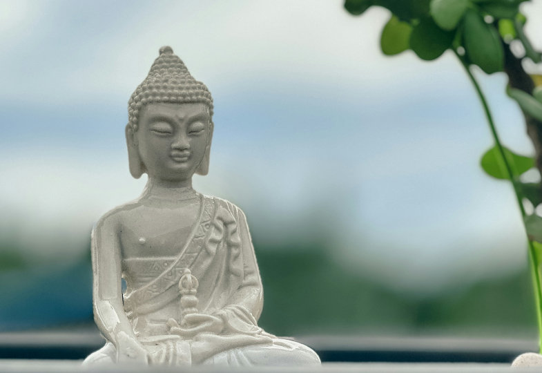 Eine weiße Buddha-Statue ist von einem grünen Zweig umrahmt