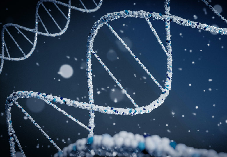 Ein Gruß aus der Zukunft: Biocomputing und die Digitalisierung des Denkens