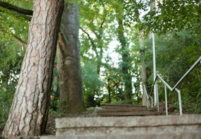 Treppenstufen führen hinauf