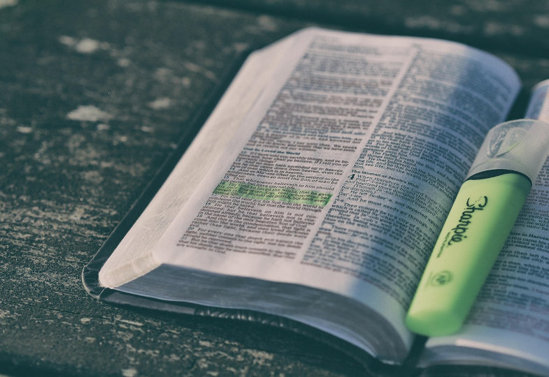 Partizipation  statt Passivität: Fritz Lobingers Beitrag zu einer synodalen Kirche