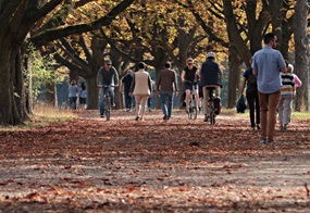 In einem Park gehen Menschen spazieren 