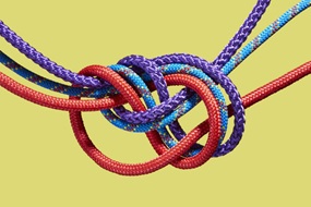 Mehrere farbige Seile sind zu einem komplexen, gemeinsamen Knoten miteinander verbunden.