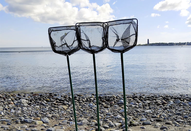 Buddeln am Strand oder im Garten: Kitas an ungewöhnlichen Orten