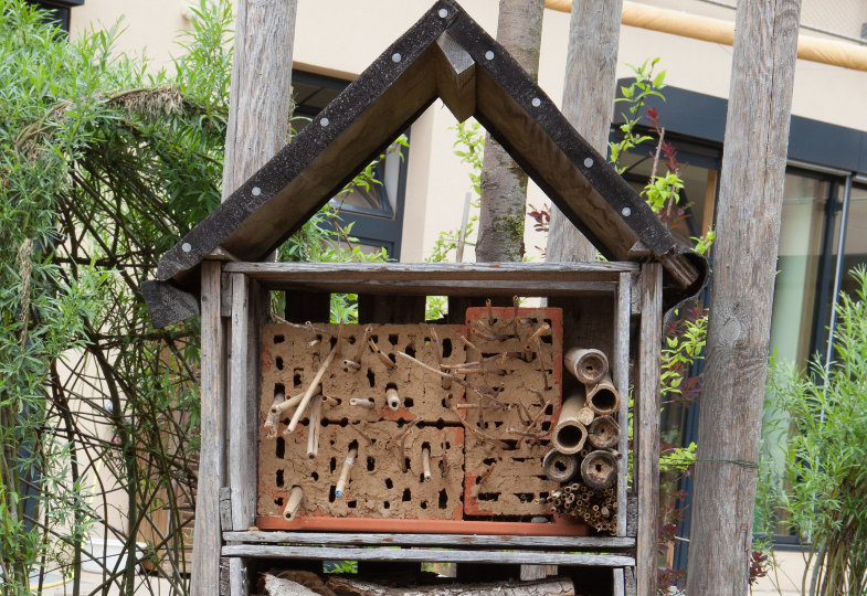 Ein Zuhause für Wildbienen & Co.. Bildimpuls aus der Kita