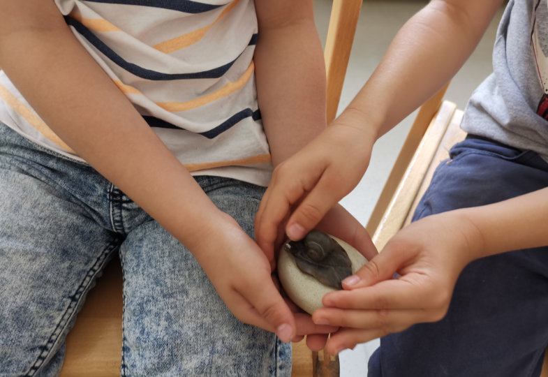 Eine neugierige Schnecke hört den Kindern zu