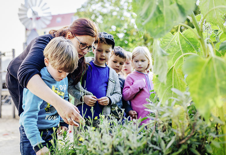 Familien zur Nachhaltigkeit einladen