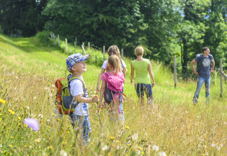 Jede Woche Wandertag. Gut vernetzt (7)