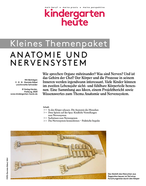 kindergarten heute - Themenpaket. Anatomie und Nervensystem