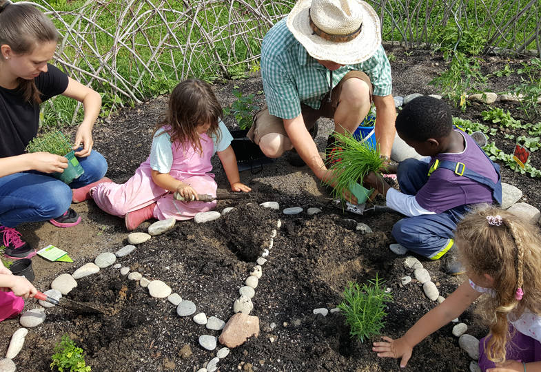 Kooperieren mit der Urban-Gardening- Gruppe Rheinfelden