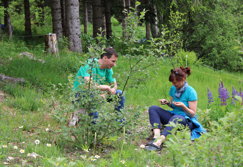 Teambuilding mal draußen