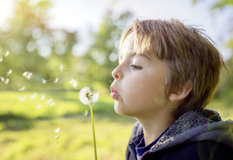 Ein Kind im Profil pustet eine Pusteblume an, und die Samen fliegen davon.