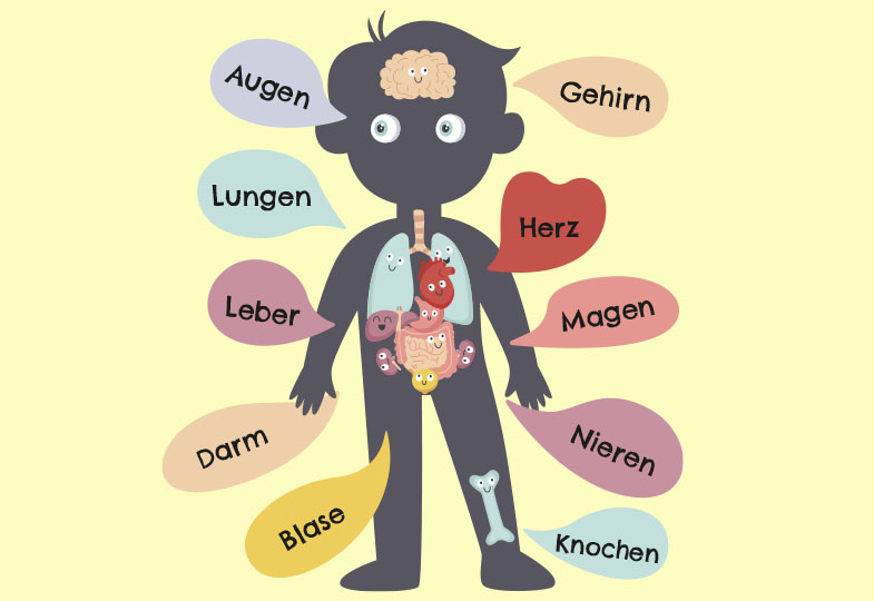 Von Kopf bis Fuß durch den Körper reisen: Körper und Gesundheit