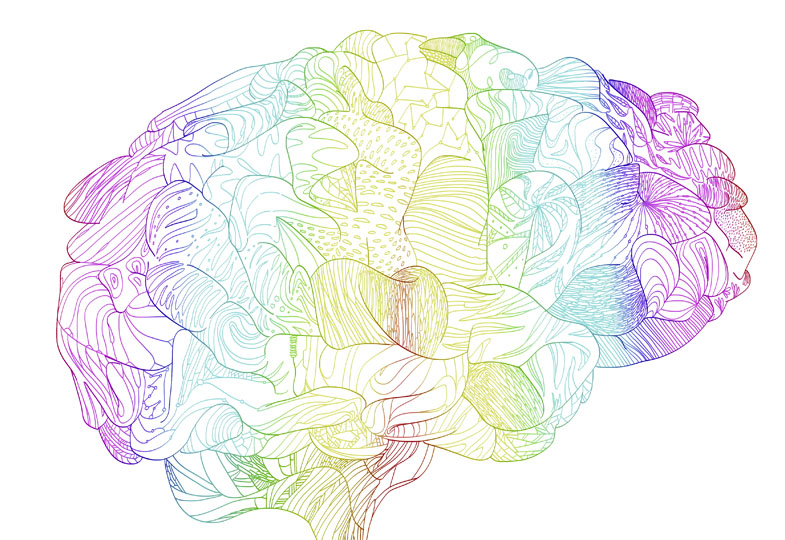 Von neurotypisch bis hochbegabt: Fachbegriffe erklärt