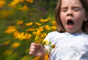 Vorsicht vor Pollen, Wespenstichen und Tierhaaren