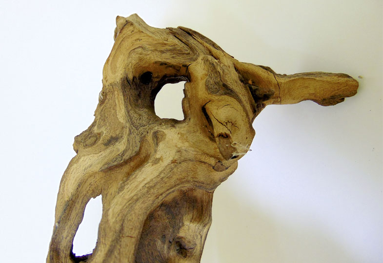 Wundersames Wurzelwerk: Impulse aus dem Reggio-Atelier
