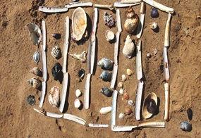Sammlerglück: mit Muscheln und Schnecken lassen sich schöne Bilder in den Sand legen