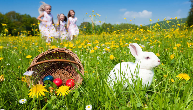 Die Wahrheit über Ostern: "Den Osterhasen gibt's ja gar nicht"