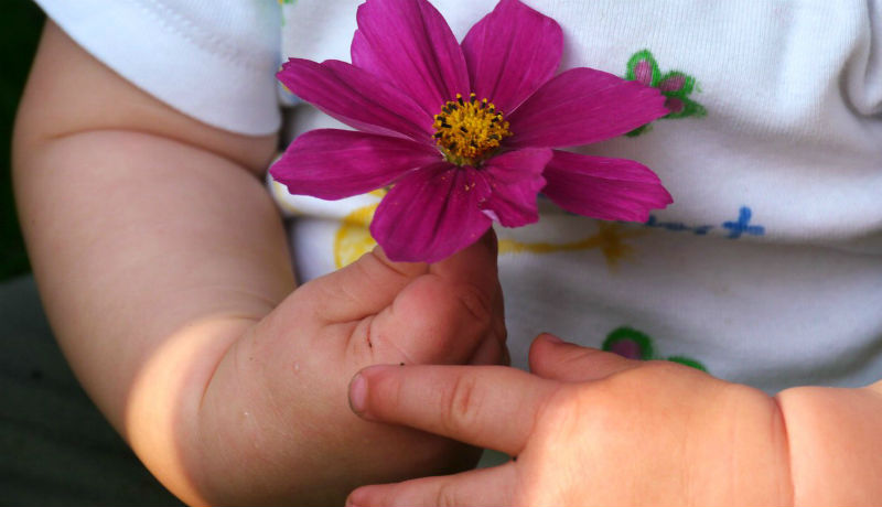 Die Welt aus Kinderaugen: Ich zeig dir mal was