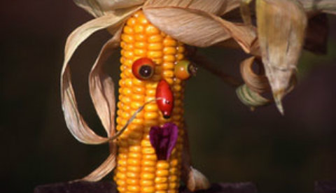 Figuren aus Maiskolben: Mais-Zausel