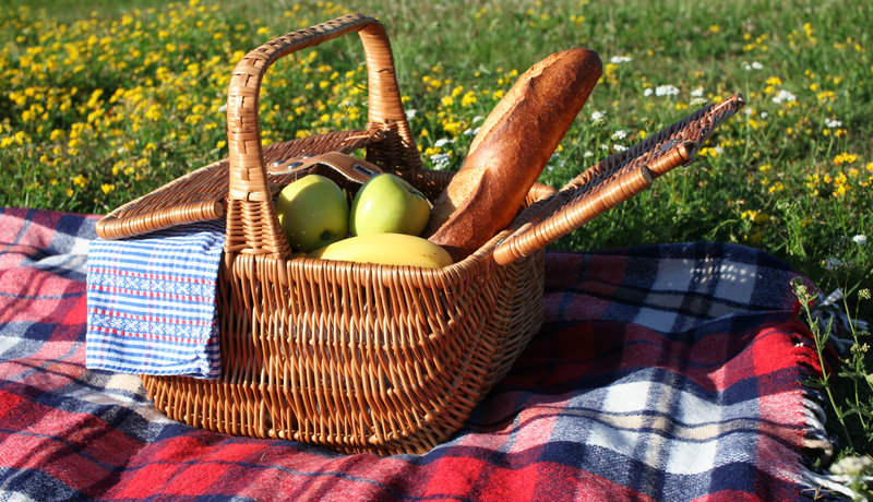 Genießen unter freiem Himmel: Wir sind die Picknicker!
