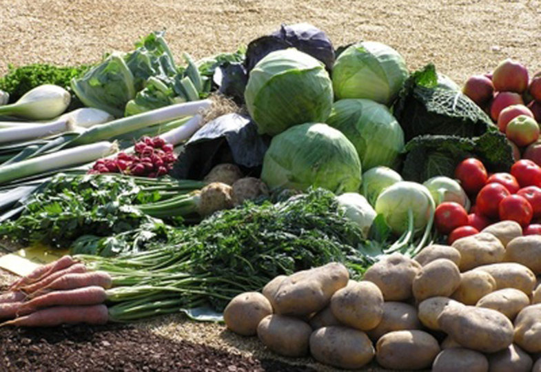 Gesund durch den Winter: Obst aus der Region