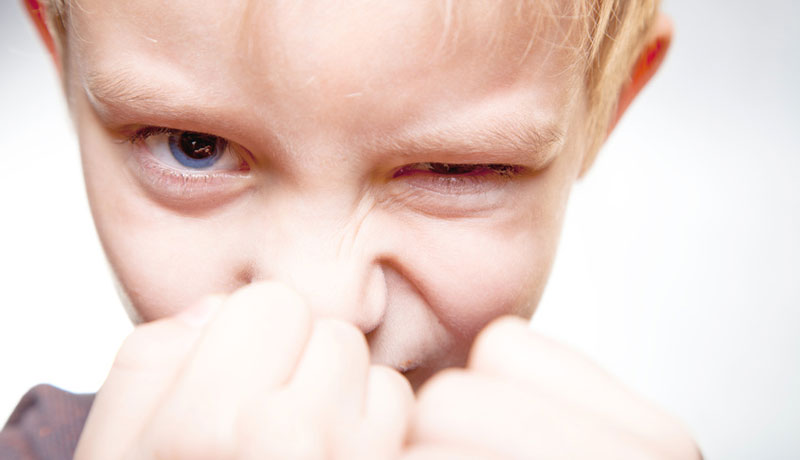 Gewalt im Kindergarten: Was tun bei Raufereien?