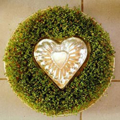 Kresse wächst in einer runden Form mit einem Herz in der Mitte.