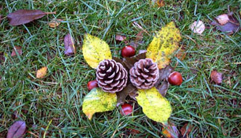 land-art-im-herbstwald-kunst-aus-natur