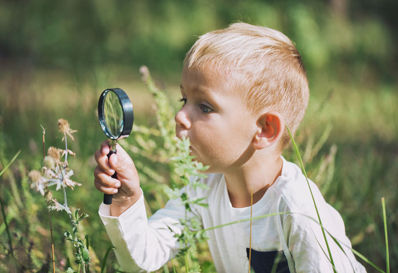 Warum ist die Blume braun? Kinder sind von Natur aus wissbegierig