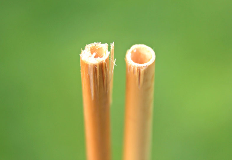 Achte auf glatte Schnittränder, damit sich die Insekten nicht verletzen.