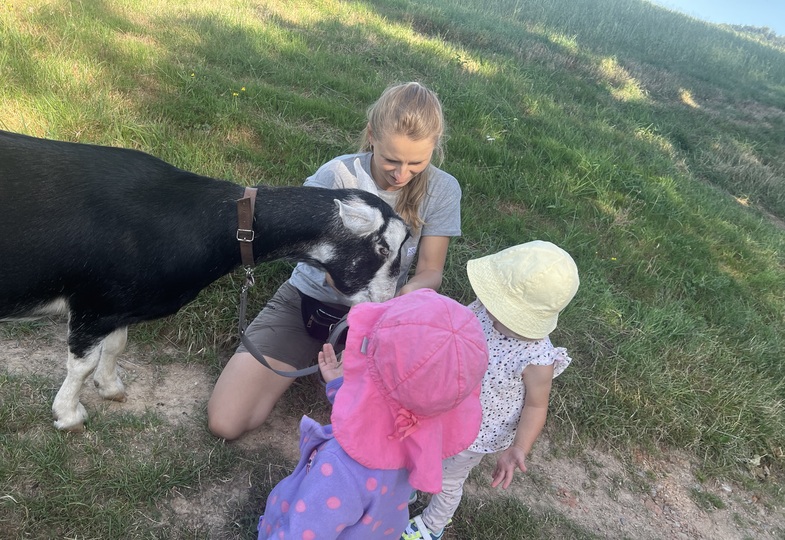Besuch von Siggi & Merlin: Tiergestützte Pädagogik