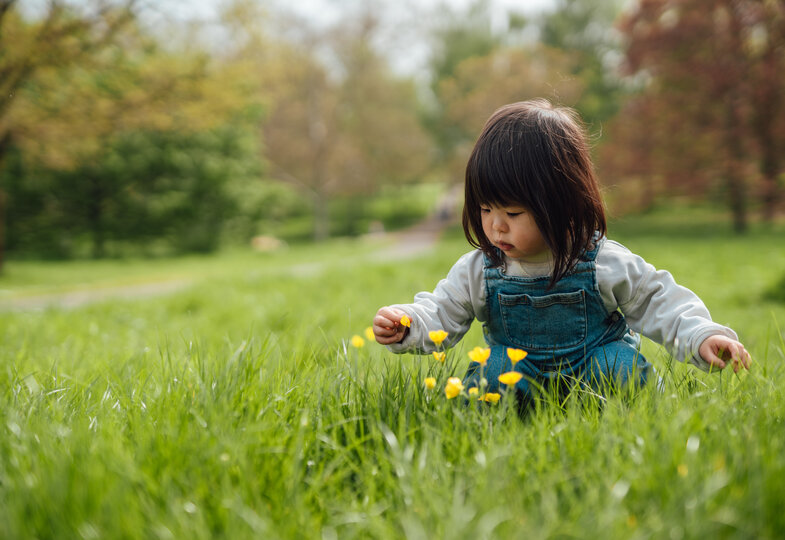 Ein Kind auf einer grünen Wiese, welches gelbe Blumen vor sich hat und diese betrachtet. 