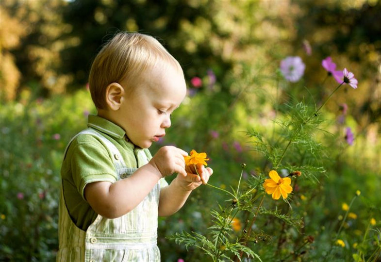 Kleinkind bestaunt eine Blüte