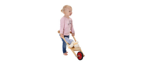 Wir verlosen eine Lenk- und Laufkarre der Basisgemeinde Wulfshagenerhütten. 